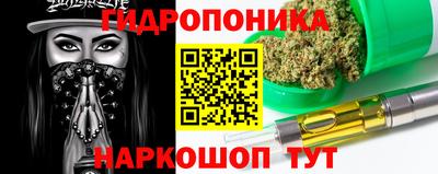 гашик Дубна