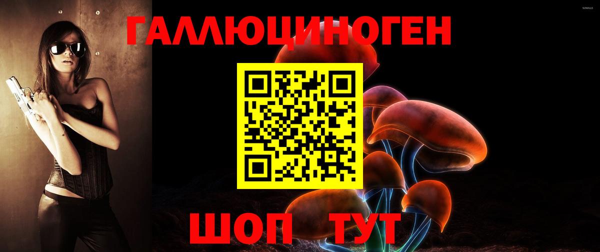 Заводоуковск  Псилоцибиновые грибы мухоморы  Галлюциногенные грибы MAGIC MUSHROOMS  купить  сайты  Вход с VPN 